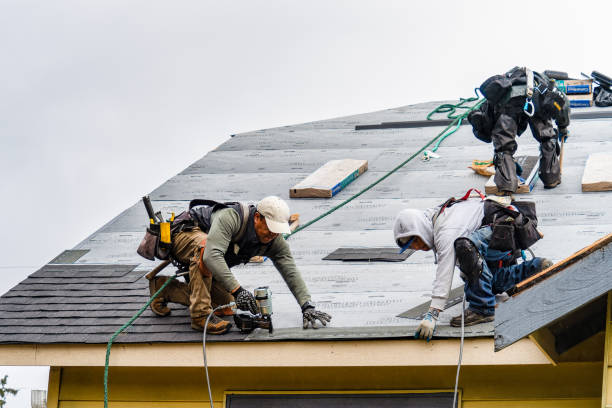 Professional Roofing technician working in Rapid City, MI
